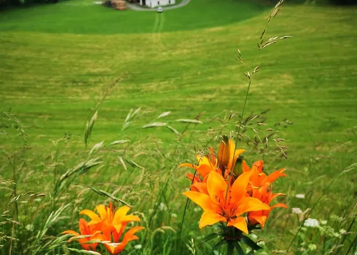 Vendégház Seestueberl Riegler Sankt Georgen bei Neumarkt