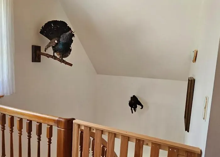 Seestueberl Riegler 3* Sankt Georgen bei Neumarkt