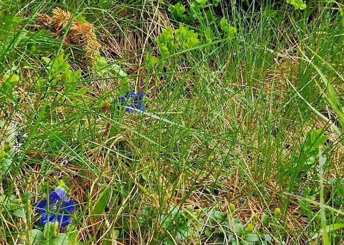 Seestueberl Riegler 3*