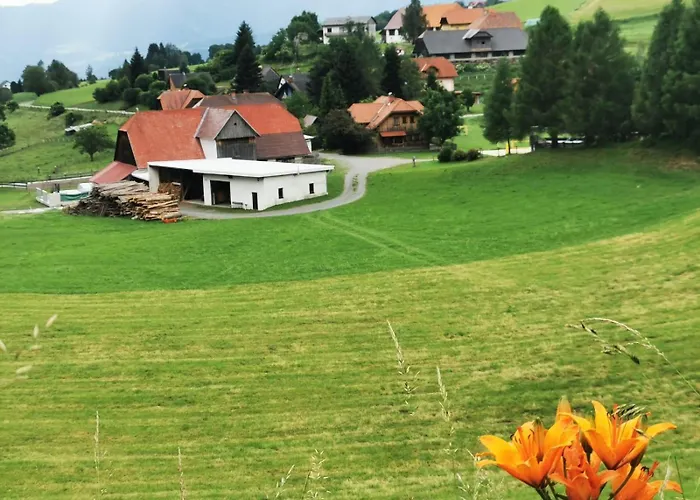 Seestueberl Riegler 招待所 3*